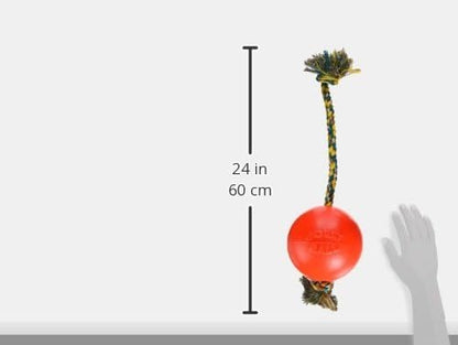 Jolly Ball -Romp-N-Roll Dog Toy, Orange, 6", Model Number: 788169060645