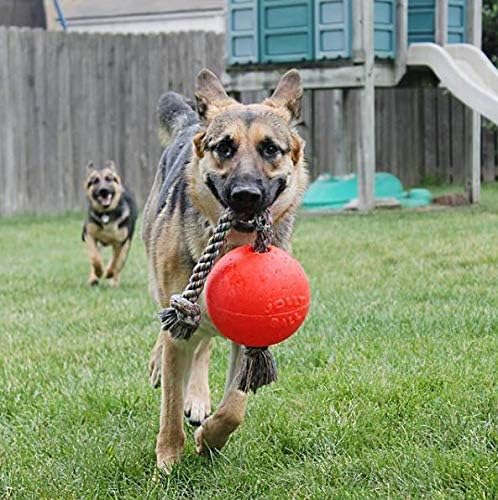 Jolly Ball -Romp-N-Roll Dog Toy, Orange, 6", Model Number: 788169060645