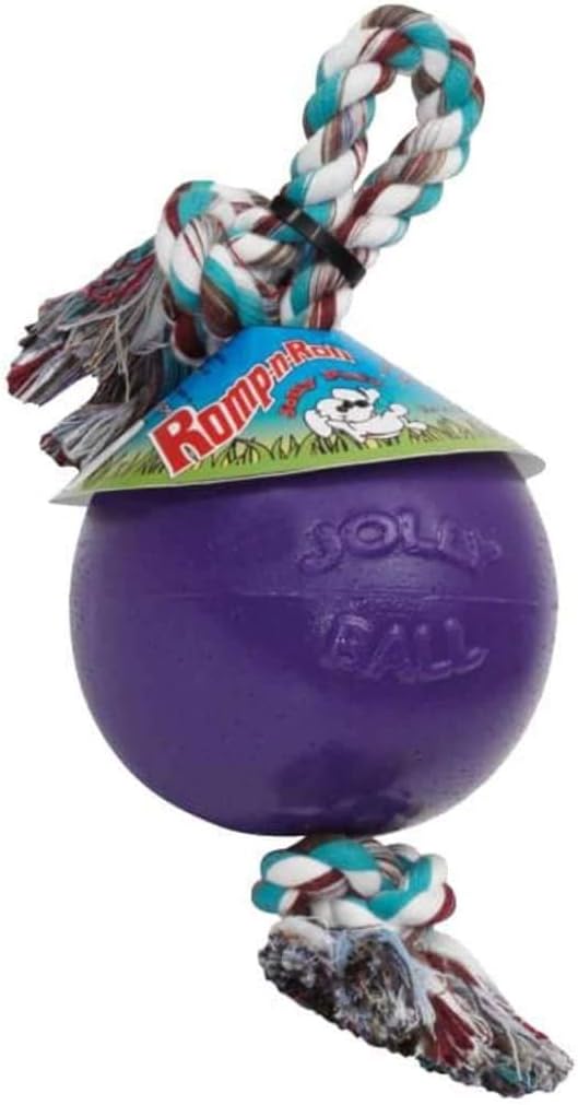 Jolly Ball -Romp-N-Roll Dog Toy, Orange, 6", Model Number: 788169060645