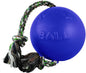 Jolly Ball -Romp-N-Roll Dog Toy, Orange, 6", Model Number: 788169060645