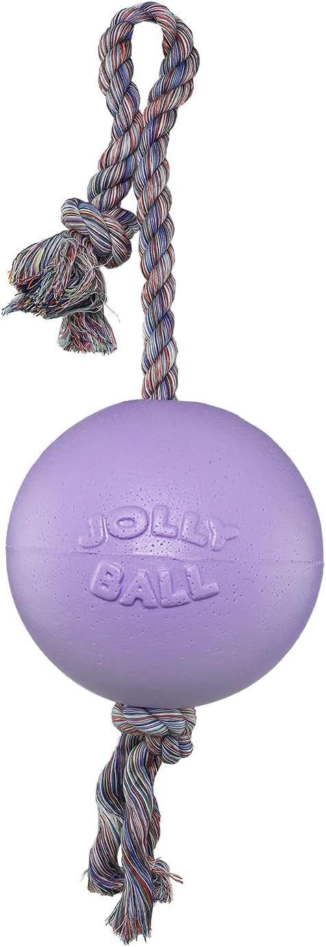 Jolly Ball -Romp-N-Roll Dog Toy, Orange, 6", Model Number: 788169060645