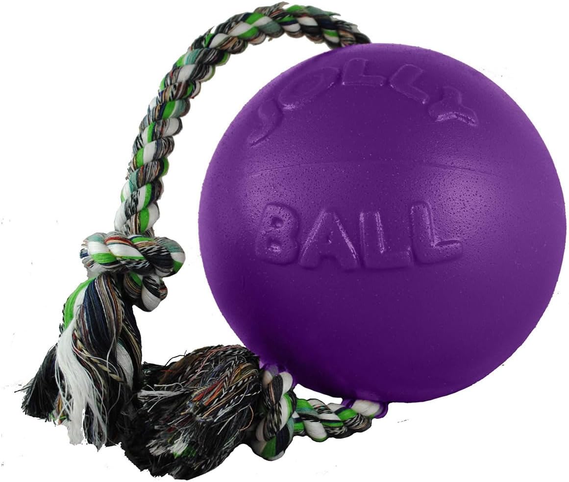 Jolly Ball -Romp-N-Roll Dog Toy, Orange, 6", Model Number: 788169060645
